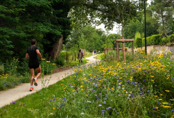 Le chemin des bœufs réaménagé